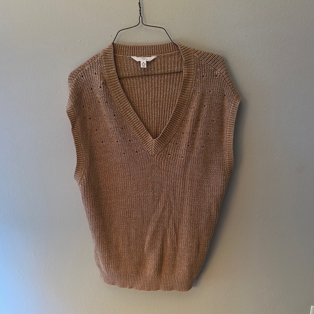Time and Tru Camel V-Neck Sweater